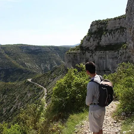Le Rossignol Des Murailles Le Bosc (Herault)