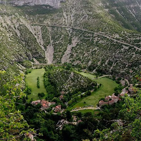 Le Rossignol Des Murailles * Le Bosc (Herault)
