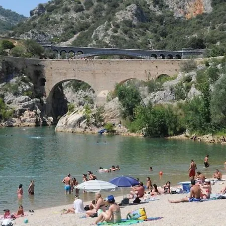Le Rossignol Des Murailles Le Bosc (Herault)