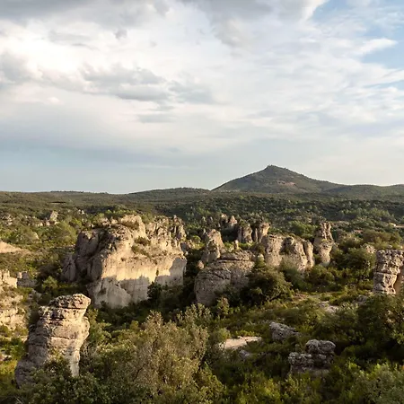 Le Rossignol Des Murailles