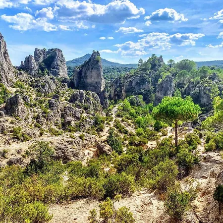 Le Rossignol Des Murailles * Le Bosc (Herault)