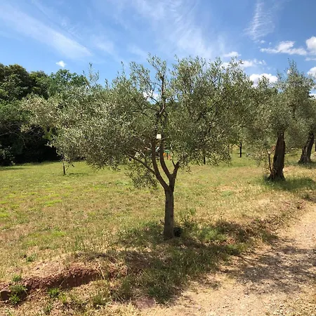 Dom wakacyjny Le Rossignol Des Murailles Le Bosc (Herault)
