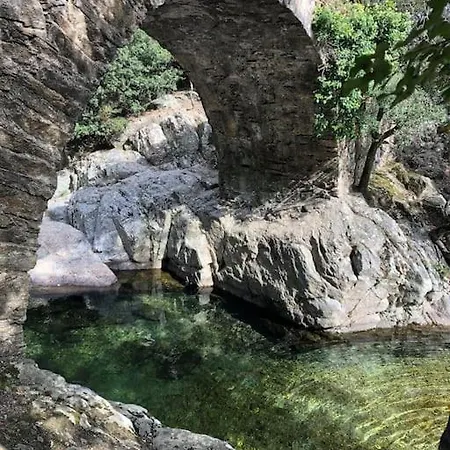 Le Rossignol Des Murailles * Le Bosc (Herault)