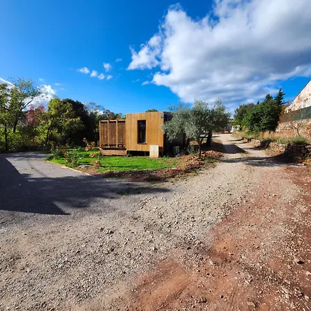 Le Rossignol Des Murailles * Le Bosc (Herault)
