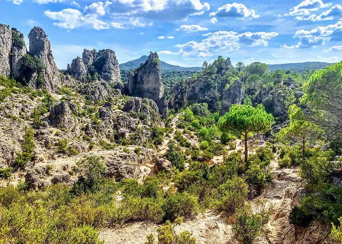 Le Rossignol Des Murailles * Le Bosc (Herault)
