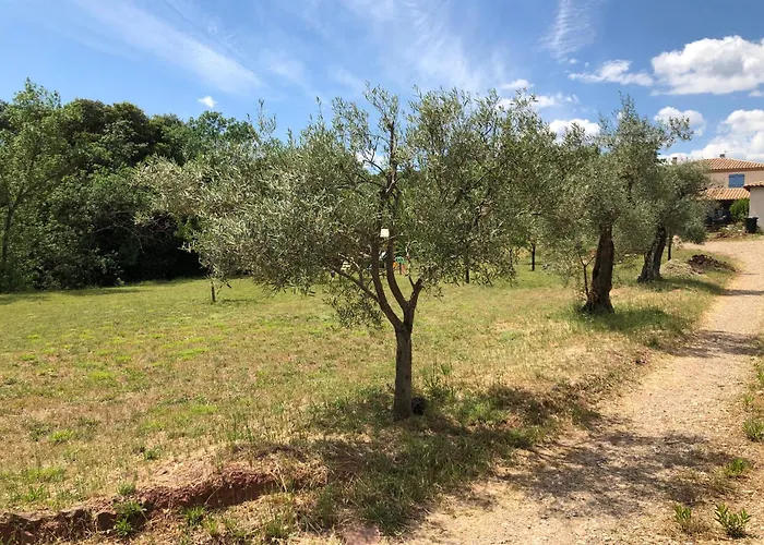 펜션 Le Rossignol Des Murailles Le Bosc (Herault)
