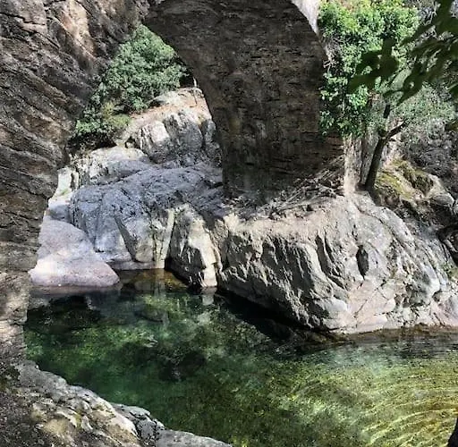 Le Rossignol Des Murailles * Le Bosc (Herault)